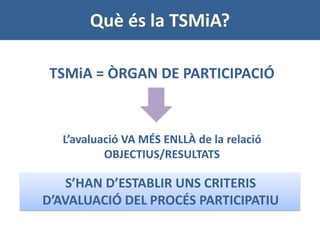 Què és la TSMiA? 
TSMiA = ÒRGAN DE PARTICIPACIÓ 
L’avaluació VA MÉS ENLLÀ de la relació OBJECTIUS/RESULTATS 
S’HAN D’ESTAB...