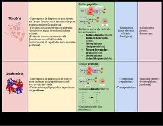  
 
 
Terciària 
 
 
 
 
 
-Correspón​​a​​la​​disposició​​que​​adopta 
en​​l’espai​​l’estructura​​secundària​​quan 
es​​plega​​sobre​​ella​​mateixa. 
-S’origina​​una​​conformació​​globular. 
-Soluble​​en​​aigua​​i​​en​​dissolucions 
salines. 
-Presenta​​dominis​​estructurals 
(combinacions​​d’hèlix​​ɑ​​i​​de 
conformació​​β​​repetides​​en​​la​​mateixa 
proteïna). 
-Enllaç​​​peptídic. 
 
-Enllaços​​entre​​els​​radicals 
del​​aminiàcids: 
- Enllaç​​disulfur​​​(fort). 
- Enllaçd’hidrogen 
(feble). 
- Interaccions 
iòniques​​​(feble). 
- Forçes​​de​​van​​der 
Waals​​​(feble). 
- Interaccions 
hidrofòbiques​​​(feble). 
 
 
 
 
 
 
 
 
-​​Enzimàtica 
(amb​​elevada 
eficàcia 
biològica) 
 
 
 
 
 
 
 
 
 
-​​Mioglobina 
(hemo). 
-​​Isomerasa. 
 
 
Quaternària 
 
 
 
 
 
-Correspón​​a​​la​​disposició​​de​​dues​​o 
més​​cadenes​​polipeptídiques​​amb 
estructura​​terciària. 
-Cada​​cadena​​polipeptídica​​rep​​el​​nom 
de​​​protòmer​. 
-​​Enllaç​​​peptìdic​. 
 
-​​Enllaços​​​disulfur​​​(forts) 
 
-​​Enllaços​​febles​​(no 
covalents) 
 
 
 
 
 
-​​Hormonal 
(reguladora) 
 
-Transportadora 
 
 
 
 
 
 
-​​Insulina​​(dímer) 
-​​Hemoglobina 
(tetràmer) 
 
 