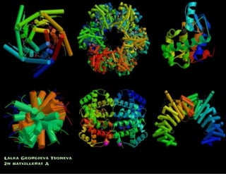 Lalka​​Georgieva​​Tsoneva  
2n​​batxillerat​​A 
 
