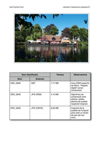 Nom identiﬁcatiuNom identiﬁcatiu Tamany Observacions
Nom Extensio
DSC_0048 .NEF 7,71 MB Arxiu RAW especíﬁc
de Nikon. “Negatiu
digital” sense
compressió.
DSC_0048 .JPG (RGB) 4,12 MB Algoritmes de
compressió amb
pèrdua. (petita
pèrdua de qualitat
respecte lʼoriginal)
DSC_0048 .JPG (CMYK) 8,30 MB Augment de la
qualitat de lʼoriginal
però amb un excés
de pes del nou
arxiu.
Ada Fuentes Farré Laboratori dʼaplicacions gràﬁques A1
 