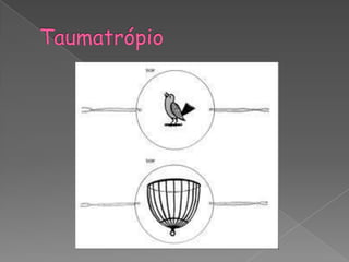 Taumatropio