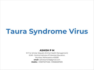 Taura Syndrome Virus
ASHISH P M
M F Sc Scholar (Aquatic Animal Health Management)
ICAR - Central Institute of Fisheries Education,
Mumbai, Maharashtra 400061
email : ashishpm246@gmail.com
Mobile : +918073217468; +919686587839
 