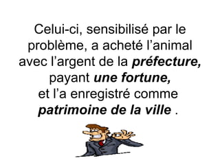 Celui-ci, sensibilisé par le problème, a acheté l’animal avec l’argent de la  préfecture,  payant  une fortune, et l’a enregistré comme  patrimoine de la ville  .  