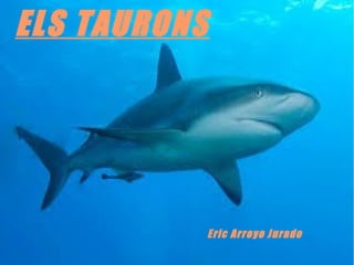 ELS TAURONS
Eric Arroyo Jurado
 