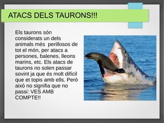 ATACS DELS TAURONS!!!
Els taurons són
considerats un dels
animals més perillosos de
tot el món, per atacs a
persones, balenes, lleons
marins, etc. Els atacs de
taurons no solen passar
sovint ja que és molt difícil
que et topis amb ells. Però
això no signifia que no
passi: VES AMB
COMPTE!!
 