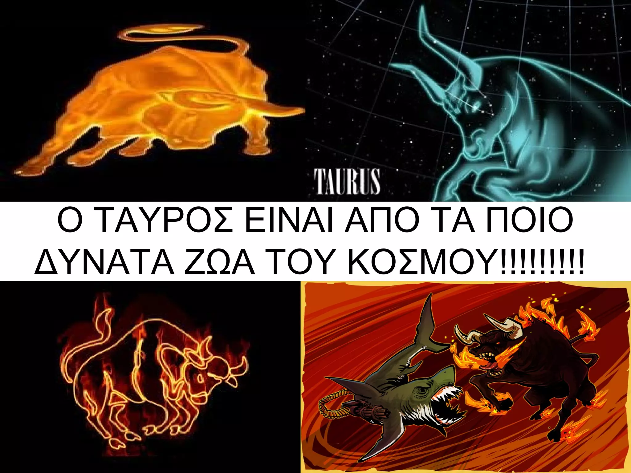 Ο ΤΑΥΡΟΣ ΕΙΝΑΙ ΑΠΟ ΤΑ ΠΟΙΟ
ΔΥΝΑΤΑ ΖΩΑ ΤΟΥ ΚΟΣΜΟΥ!!!!!!!!!

 
