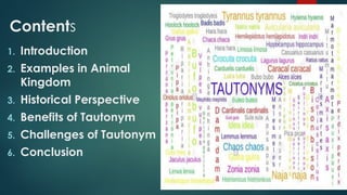 Contents
1. Introduction
2. Examples in Animal
Kingdom
3. Historical Perspective
4. Benefits of Tautonym
5. Challenges of Tautonym
6. Conclusion
 