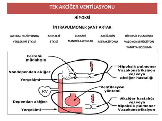 TEK AKCİĞER VENTİLASYONU
HİPOKSİ
İNTRAPULMONER ŞANT ARTAR
LATERAL POZİSYONDA
YERÇEKİMİ ETKİSİ
ANESTEZİ
ETKİSİ
CERRAHİ
MANUPİLASYONLAR
AKCİĞERİN
RETRAKSİYONU
HİPOKSİK PULMONER
VAZOKONSTRÜKSİYON
YANITTA BOZULMA
 
