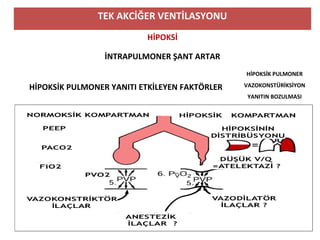 TEK AKCİĞER VENTİLASYONU
HİPOKSİ
İNTRAPULMONER ŞANT ARTAR
HİPOKSİK PULMONER YANITI ETKİLEYEN FAKTÖRLER
HİPOKSİK PULMONER
VAZOKONSTÜRİKSİYON
YANITIN BOZULMASI
 
