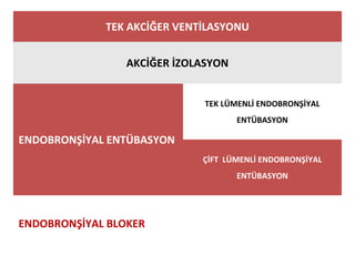 TEK AKCİĞER VENTİLASYONU
AKCİĞER İZOLASYON
ENDOBRONŞİYAL ENTÜBASYON
TEK LÜMENLİ ENDOBRONŞİYAL
ENTÜBASYON
ÇİFT LÜMENLİ ENDOBRONŞİYAL
ENTÜBASYON
ENDOBRONŞİYAL BLOKER
 