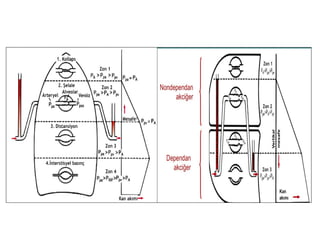 TEK AKCİĞER VENTİLASYONU OPTİMAL UYGULANMASI
HİPOKSİYİ ÖNLEMEK
AKCİĞER HASARLANMASINI ÖNLEMEK
PULMONER REZEKSİYONA BAĞLI POSTOPERATİF ERKEN ÖLÜMLERİ
ENGELLEMEK
 