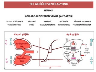 TEK AKCİĞER VENTİLASYONU
HİPOKSİ
KOLLABE AKCİĞERDEN VENÖZ ŞANT ARTIŞI
LATERAL POZİSYONDA
YERÇEKİMİ ETKİSİ
ANESTEZİ
ETKİSİ
CERRAHİ
MANUPLASYONLAR
AKCİĞERİN
RETRAKSİYONU
HİPOKSİK PULMONER
VAZOKONSTRÜKSİYON
 