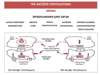 TEK AKCİĞER VENTİLASYONU
HİPOKSİ
İNTRAPULMONER ŞANT ARTAR
LATERAL POZİSYONDA
YERÇEKİMİ ETKİSİ
ANESTEZİ
ETKİSİ
CERRAHİ
MANUPİLASYONLAR
AKCİĞERİN
RETRAKSİYONU
HİPOKSİK PULMONER
VAZOKONSTRÜKSİYON
YANITTA BOZULMA
 