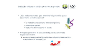 Biotecnología - Cinetica del consumo de sustrato y formación del producto