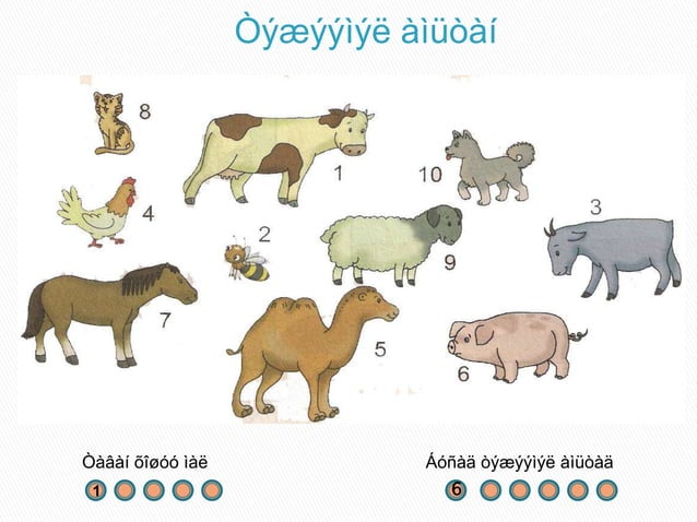 Tavan hoshuu mal 3