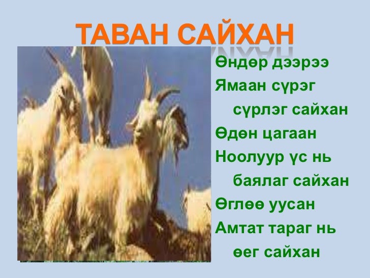 Tavan saihan1