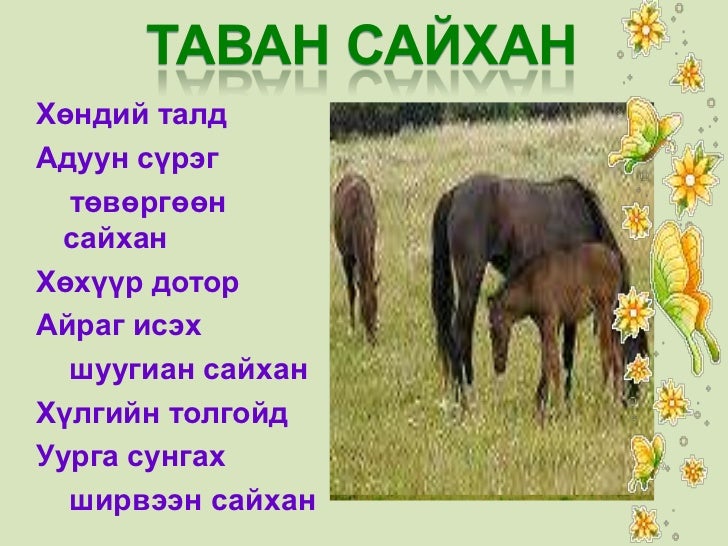 Tavan saihan1