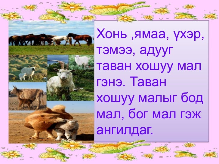 Tavan saihan1