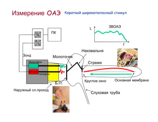 TEOAE Measurement

                     L
           A
       A
                         f




               . .
       .
 