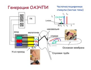 DPOAE
                                                   (       )
    generation
                                               L1 L2
                 A                  L
                                         LDP
                 A         Lnoise
             A
                                        2f1-f2 f1 f2   f




        f2
        f1
                                    .
                     . .
.   .
 