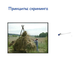 The screening
  principle
 