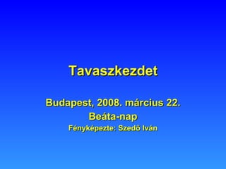 Tavaszkezdet Budapest, 2008. március 22. Beáta-nap Fényképezte: Szedő Iván 
