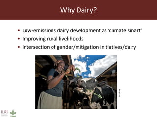 Challenges and opportunities to achieving gender parity in the Kenyan intensive dairy sector