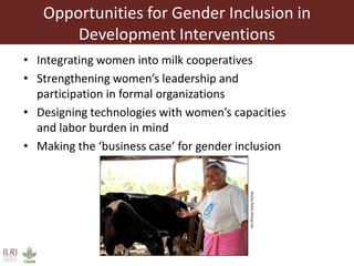 Challenges and opportunities to achieving gender parity in the Kenyan intensive dairy sector