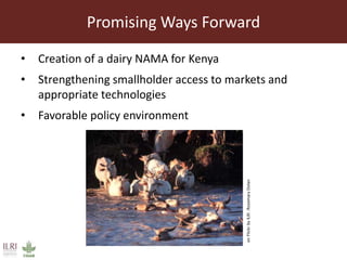 Challenges and opportunities to achieving gender parity in the Kenyan intensive dairy sector