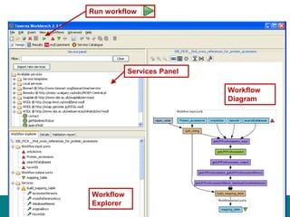 Workflow
Diagram
Services Panel
Workflow
Explorer
Run workflow
 