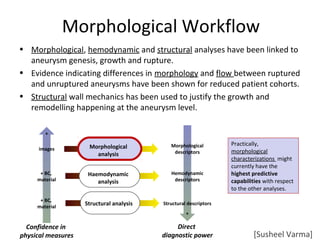 • Morphological, hemodynamic and structural analyses have been linked to
aneurysm genesis, growth and rupture.
• Evidence indicating differences in morphology and flow between ruptured
and unruptured aneurysms have been shown for reduced patient cohorts.
• Structural wall mechanics has been used to justify the growth and
remodelling happening at the aneurysm level.
Confidence in
physical measures
+
images
+ BC,
material
+ BC,
material
Morphological
analysis
Direct
diagnostic power
+
Morphological
descriptors
Structural descriptors
Hemodynamic
descriptors
Haemodynamic
analysis
Structural analysis
Practically,
morphological
characterizations might
currently have the
highest predictive
capabilities with respect
to the other analyses.
Morphological Workflow
[Susheel Varma]
 