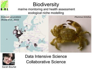 Biodiversity
marine monitoring and health assessment
ecological niche modelling
Data Intensive Science
Collaborative Science
Pilumnus hirtellusEnclosed sea problem
(Ready et al., 2010)
Sarah Bourlat
 