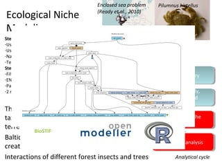 Ecological Niche
Modeling
.
Step 1: Explorative modeling
-Use unfiltered data
-Use fixed parameters: Mahalonobis distance
-Native projections
-Test the model, distribution of points, number of points
Step 2: Deep modeling
-Filtering environmentally unique points with BioClim algorithm
-ENM with Support Vector Machine and Maximum Entropy
-Parameter optimization (if necessary) on the model test results
-2 masks (model generate, model project)
Data discoveryData discovery
Data assembly,
cleaning, and
refinement
Data assembly,
cleaning, and
refinement
Ecological Niche
Modeling
Ecological Niche
Modeling
Statistical analysisStatistical analysis
Analytical cycle
Pilumnus hirtellusEnclosed sea problem
(Ready et al., 2010)
The workflows work over large geographical,
taxonomic, and environmental scales, incl.
terrestrial ecosystems
Baltic species invasions of various crabs/sea
creatures
Interactions of different forest insects and trees
BioSTIF
 