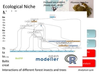 www.biovel.eu
Ecological Niche
Modeling
Workflow (ENM)
 