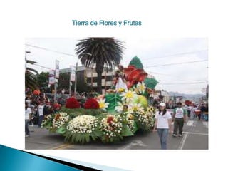 Tierra de Flores y Frutas
 