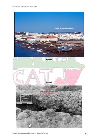 Tavira Fenícia - Maria Garcia Pereira Maia
© Campo Arqueológico de Tavira - www.ArqueoTavira.com 20
Figura 4
Figura 1
www.arqueotavira.com
www.arqueotavira.com
 