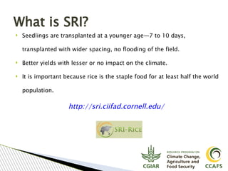 Tavseef Mairaj Shah, Climate Food and Farming (CLIFF) Network presentation November 2017