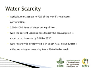 Tavseef Mairaj Shah, Climate Food and Farming (CLIFF) Network presentation November 2017
