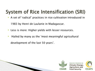 Tavseef Mairaj Shah, Climate Food and Farming (CLIFF) Network presentation November 2017