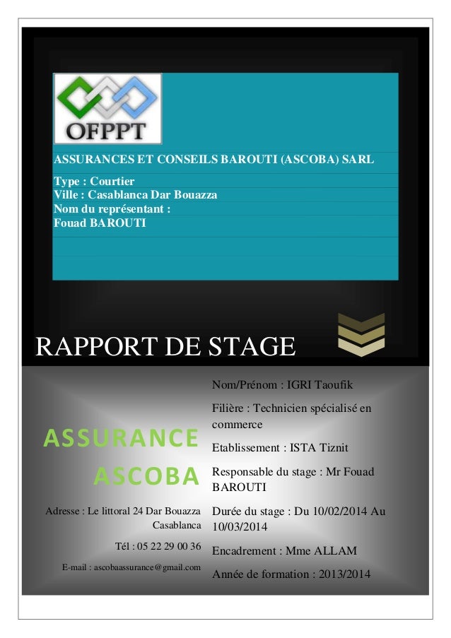 Exemple De Rapport De Stage Assurance  Le Meilleur Exemple