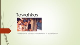 Tawahkas 
Los tawahkas o sumos; como también se les denomina. 
 