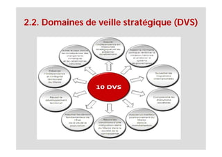 2.2. Domaines de veille stratégique (DVS)
 