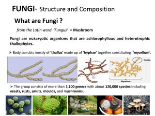 FUNGI- Structure and Composition
What are Fungi ?
from the Latin word ‘Fungus’ = Mushroom
Fungi are eukaryotic organisms that are achlorophyllous and heterotrophic
thallophytes.
 Body consists mostly of ‘thallus’ made up of ‘hyphae’ together constituting ‘mycelium’.
 The group consists of more than 5,100 genera with about 120,000 species including
yeasts, rusts, smuts, moulds, and mushrooms.
 
