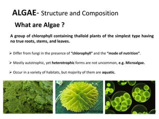 ALGAE- Structure and Composition
What are Algae ?
A group of chlorophyll containing thalloid plants of the simplest type having
no true roots, stems, and leaves.
 Differ from fungi in the presence of “chlorophyll” and the “mode of nutrition”.
 Mostly autotrophic, yet heterotrophic forms are not uncommon, e.g. Microalgae.
 Occur in a variety of habitats, but majority of them are aquatic.
Micrasterias Volvox
Green algae
 