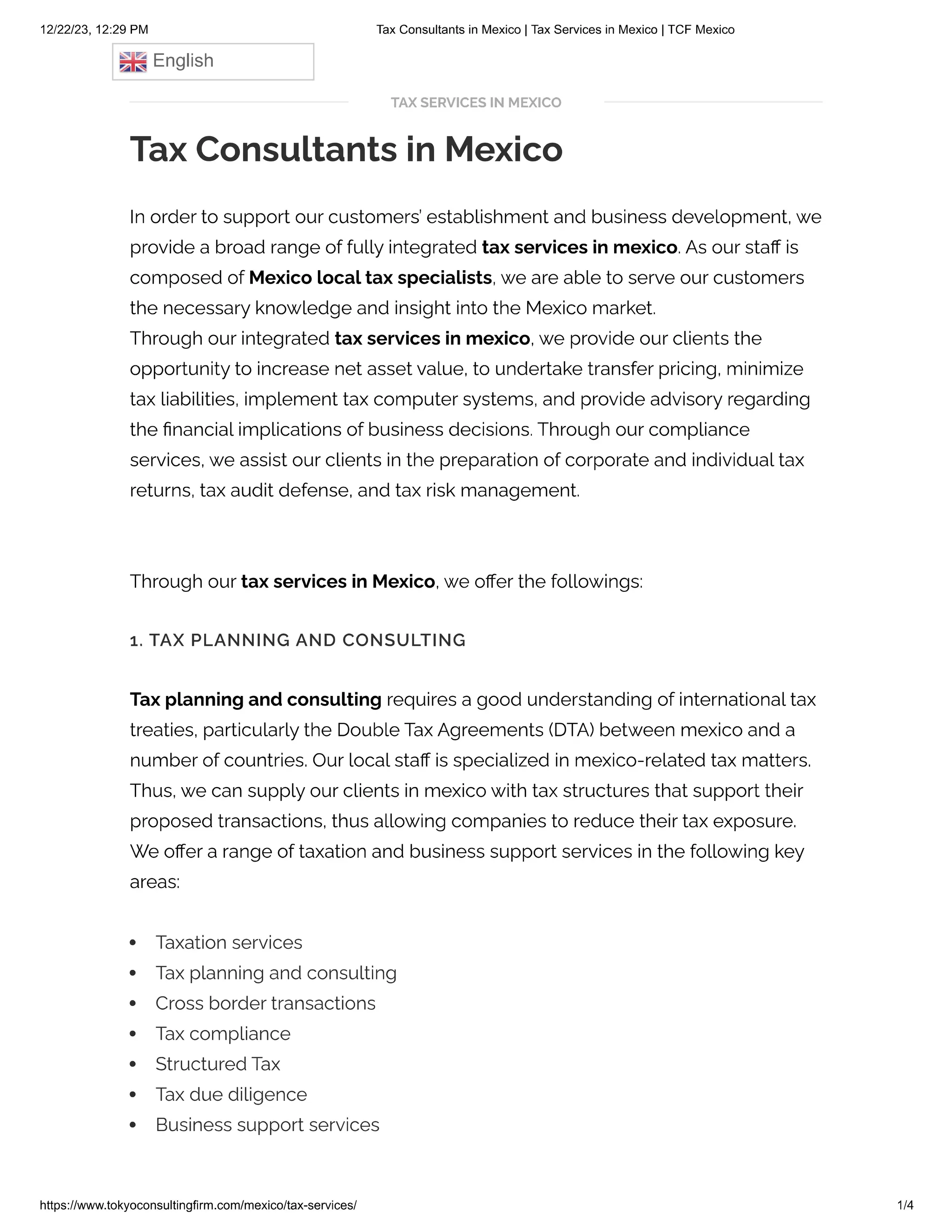 Tax Consultants in Mexico.pdf