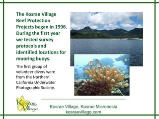 The Kosrae Village
Reef Protection
Projects began in 1996.
During the first year
we tested survey
protocols and
identified locations for
mooring buoys.
The first group of
volunteer divers were
from the Northern
California Underwater
Photographic Society.



                 Kosrae Village, Kosrae Micronesia
                        kosraevillage.com
 