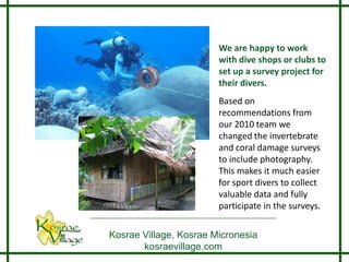 We are happy to work
                        with dive shops or clubs to
                        set up a survey project for
                        their divers.
                        Based on
                        recommendations from
                        our 2010 team we
                        changed the invertebrate
                        and coral damage surveys
                        to include photography.
                        This makes it much easier
                        for sport divers to collect
                        valuable data and fully
                        participate in the surveys.

Kosrae Village, Kosrae Micronesia
       kosraevillage.com
 