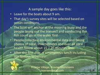 A sample day goes like this:
• Leave for the boats about 9 am.
• That day’s survey sites will be selected based on
  ocean conditions.
• The boat will anchor at the mooring buoy and the
  people laying out the transect and conducting the
  fish count go in the water first.
• People collecting environmental data and taking
  photos of coral, invertebrates and over all coral
  health follow about 15 – 20 minutes later.
• After the first dive, a scrumptious lunch including
  our famous brownies!

              Kosrae Village, Kosrae Micronesia
                     kosraevillage.com
 