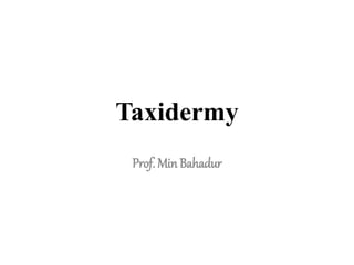 Taxidermy
Prof. Min Bahadur
 