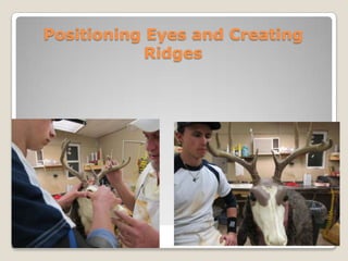 History of taxidermy image